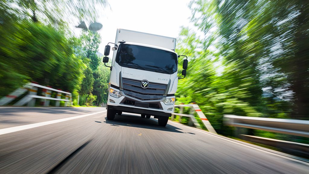 Foton Auman D