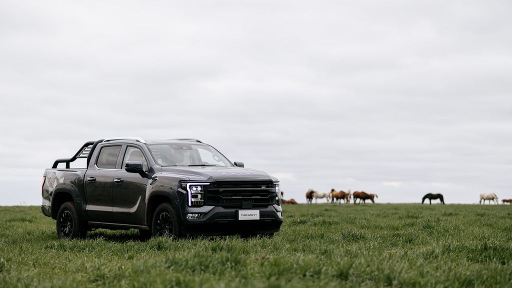 Foton Tunland V7