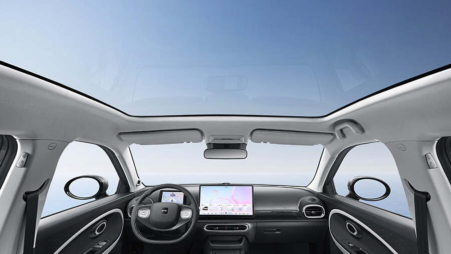 JAC EV 30X