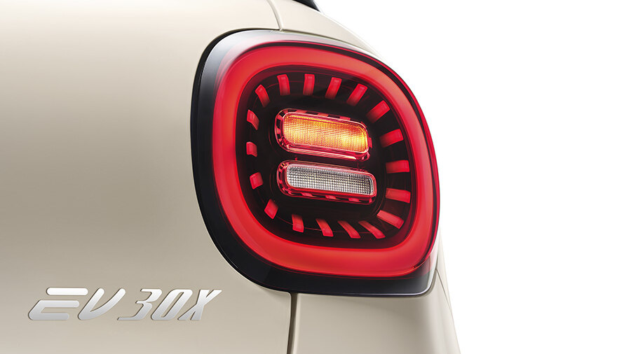 JAC EV 30X